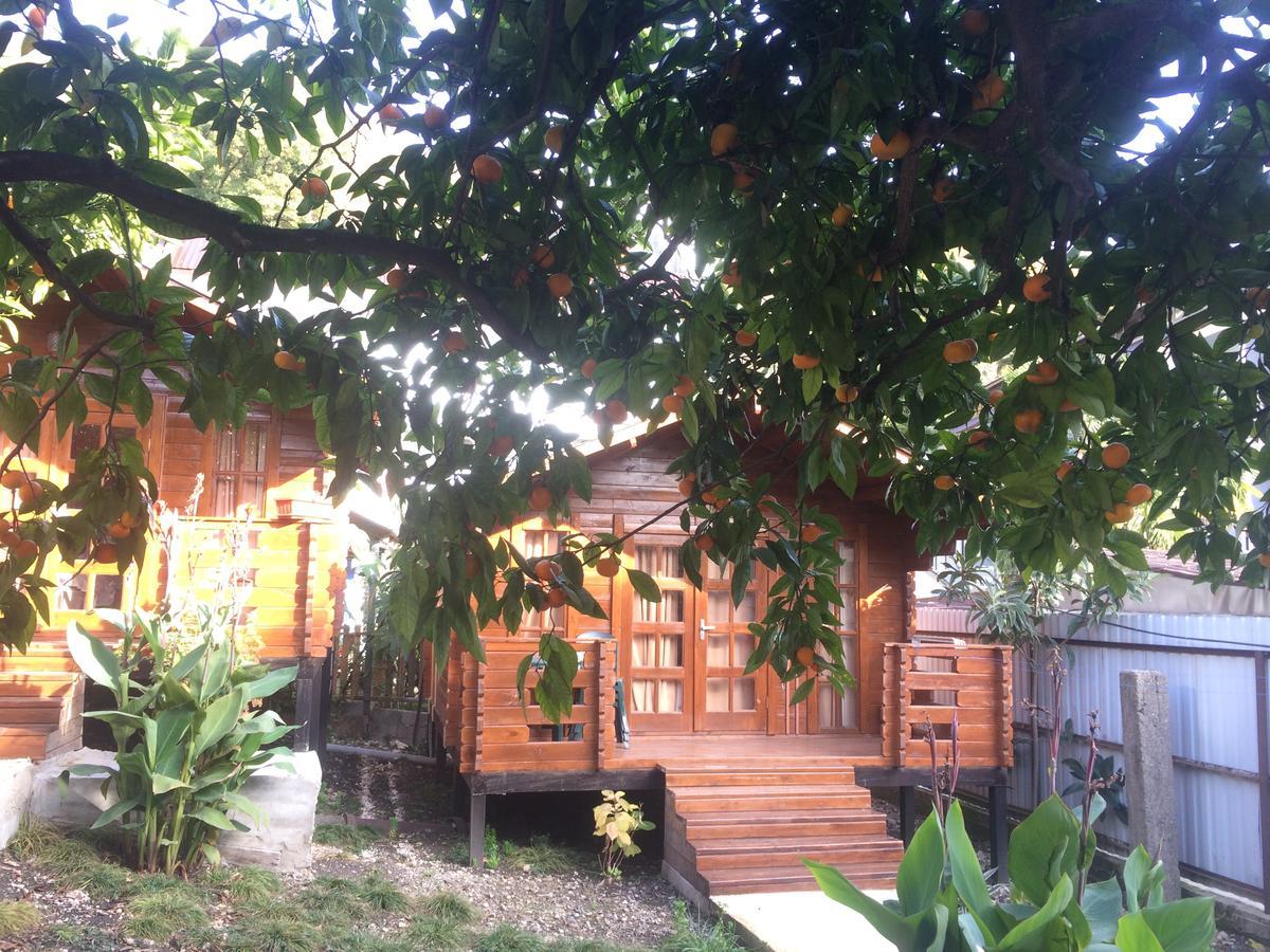Cottage house New Athos Exterior foto