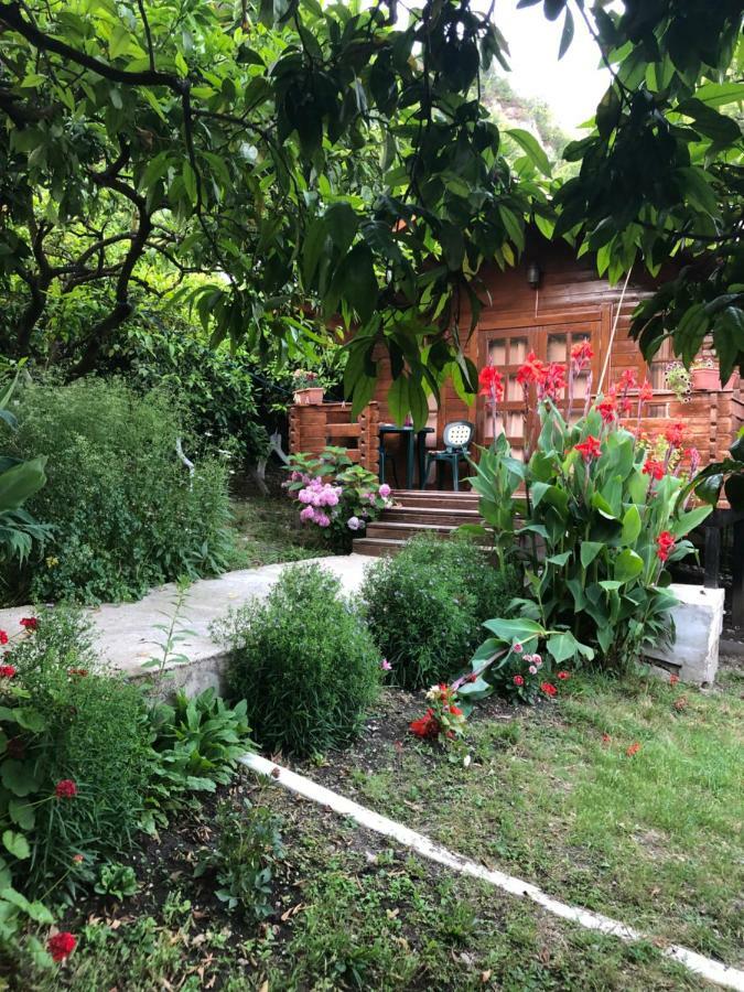 Cottage house New Athos Exterior foto